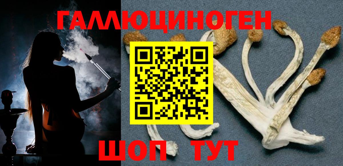 Галлюциногенные грибы MAGIC MUSHROOMS Кисловодск