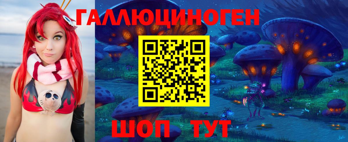 Псилоцибиновые грибы GOLDEN TEACHER  Галлюциногенные грибы Magic Shrooms  Кисловодск  Вход с VPN 