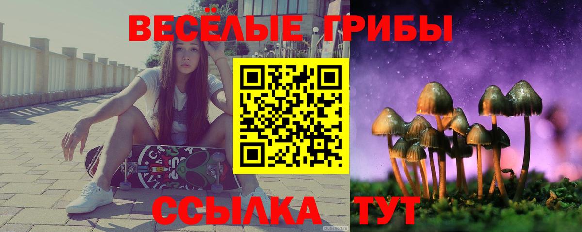 МЕФ   ГАШ  Кокаин  NBOMe  Вход с VPN  Кисловодск  МЕФ  Каннабис 